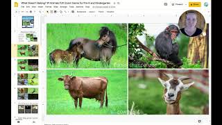 PREVIEW What Doesn't Belong? FUN Zoom Game for Online Learning screenshot 1