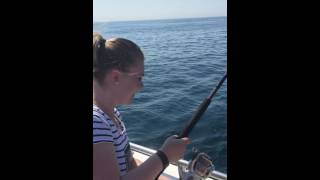IMG 1114