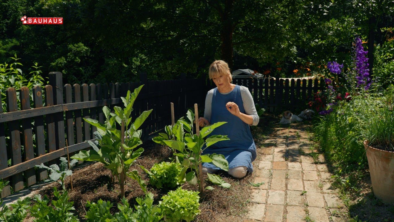 Škola vrtlarstva - zakidanjem do većih plodova
