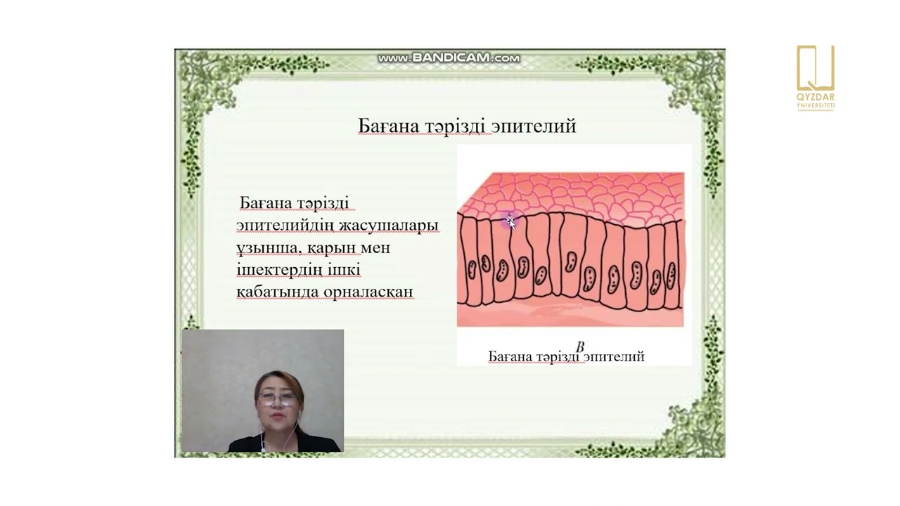 Позадағы әдемі порнографиялық қыздардың суреттері Туладағы қара жезөкшелер