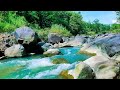 Live 24/7 Tranquil River Flow – Relaxing Water Sounds &amp; Green Noise for Sleep &amp; Calm