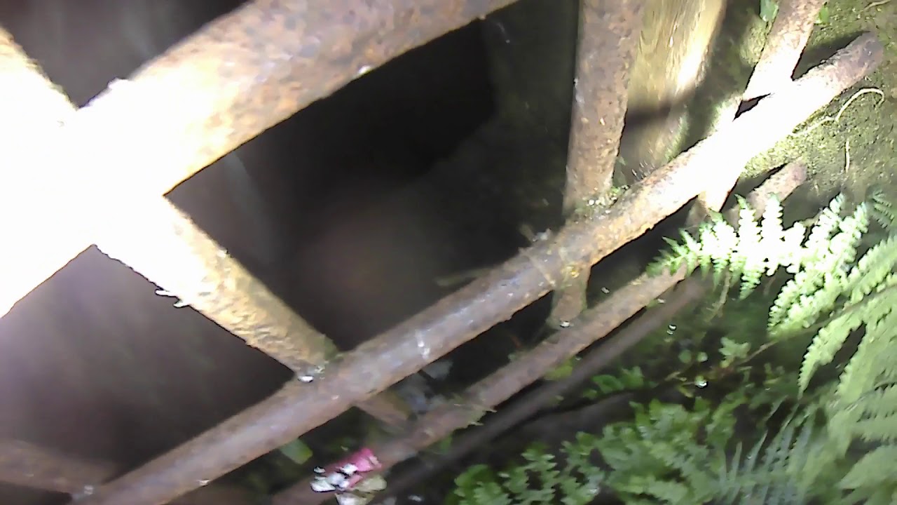 Hawkes shaft at Killifreth Mine Near Chacewater