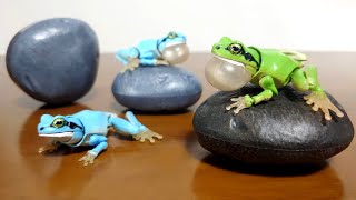 洋書　Frog カエル Amazon | FROG AND TOAD ARE FRIENDS(ICR 2) (I Can Read Book 2