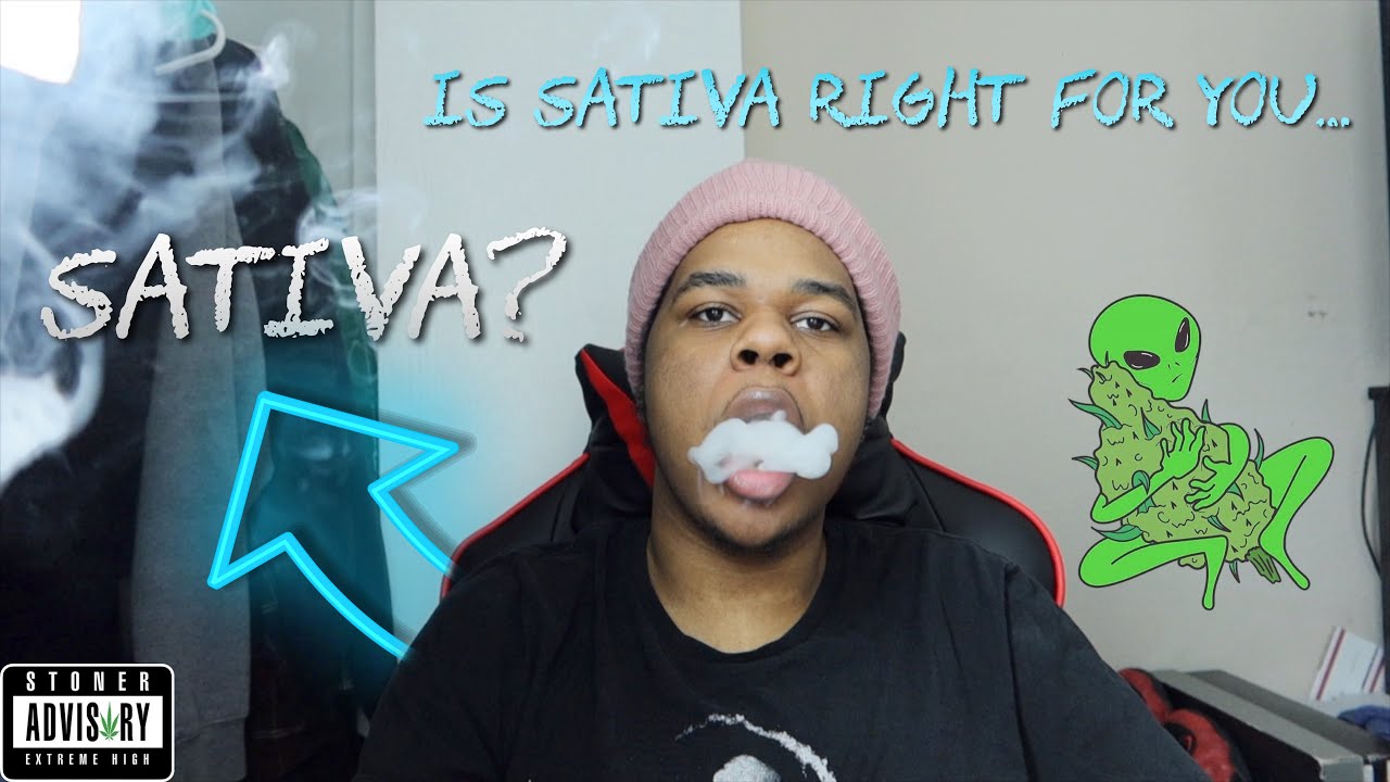 Is Sativa Right For You!? 🤔 +  Fat Joint Hotbox 💨