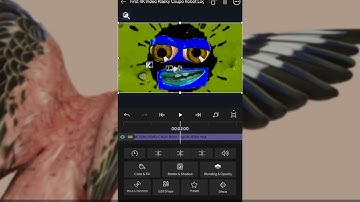 How to make Betterfully / HD HSL Adjust in After Motion Z