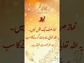 Where Does True Peace Come From? | Find Peace in Prayer (Salah)