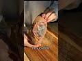 #trending #shortvideo #youtubeshorts #shortfeed #explore #viral #foryou