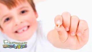 La importancia de reponer los dientes (piezas dentales) perdidos en los niños y adultos. by La Aventura de Ser Mamá y Papá 43 views 4 years ago 2 minutes, 33 seconds