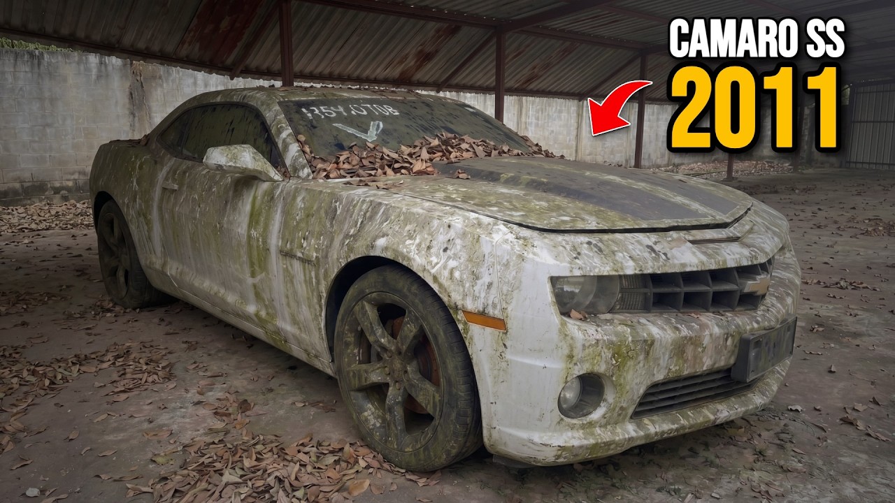 Latest Title & Thumbnail