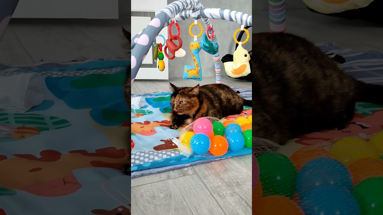 У Анфиски новая кроватка | Anfisa has a new crib 