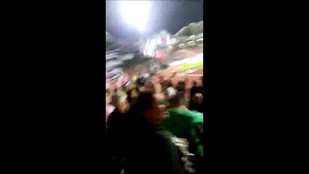 Etg/Nice  Supporter Etg(3)