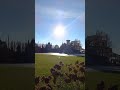 замок Гарибальди