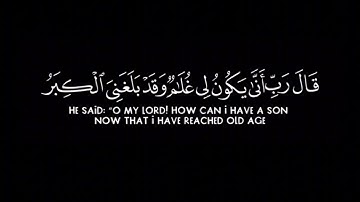 هُنَالِكَ دَعَا زَكَرِيَّا رَبَّهُ🌷سورة آل عمران🌷الشيخ ماهر المعيقلي🌷قرآن كروما شاشة سوداء