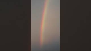 [주작 마술] 샌디 뽑기 (hello하준)