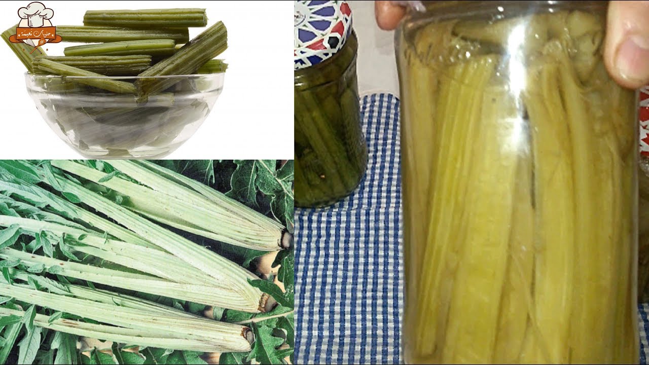 تعليب و الاحتفاظ بالخرشف او القنارية لمدة سنة بطريقة منزلية / Conservation des Cardons