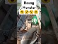 #fishing #baung #fishinggear #ikan #baungmonster #mancing #strikeikanbaung#fish #mancingmania#shorts