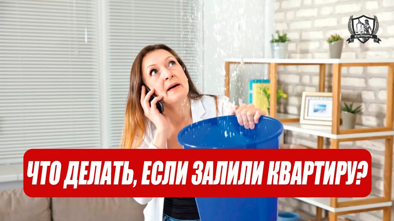Что делать, если залили квартиру?