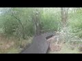 Jackson Frazier Wetland with time lapse