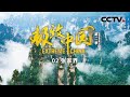 《极致中国》第二季 攀岩视角展现张家界独特之美！在张家界的高峰与深谷中挑战极限！EP02【CCTV纪录】