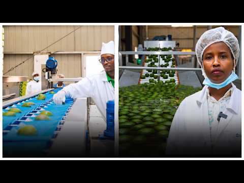 Uko Cold Solutions Rwanda igufasha kugeza mu mahanga imbuto zitangiritse