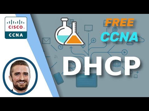 Free CCNA | DHCP | Day 39 Lab | CCNA 200-301 Complete Course