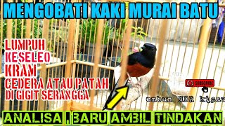 HOW TO TREAT LEGS OF MURAI BATU TREES THAT ARE PARASITED, CRAMPED, SPRAINS, INJURED, SWELLED/INSE...