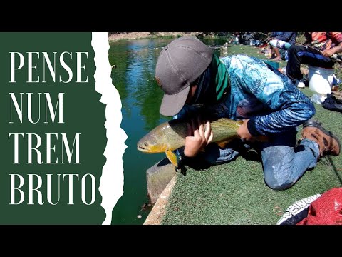 ESSE SIM É UM PEIXE LINDO. pescaria