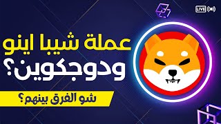 شيبا اينو ضد دوجكوين وشو الفرق؟