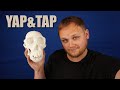 ASMR | Yap&amp;Tap (trip plans, future, sleep)