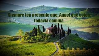 FRASES DE MOTIVACIÓN...con bellos paisajes - YouTube