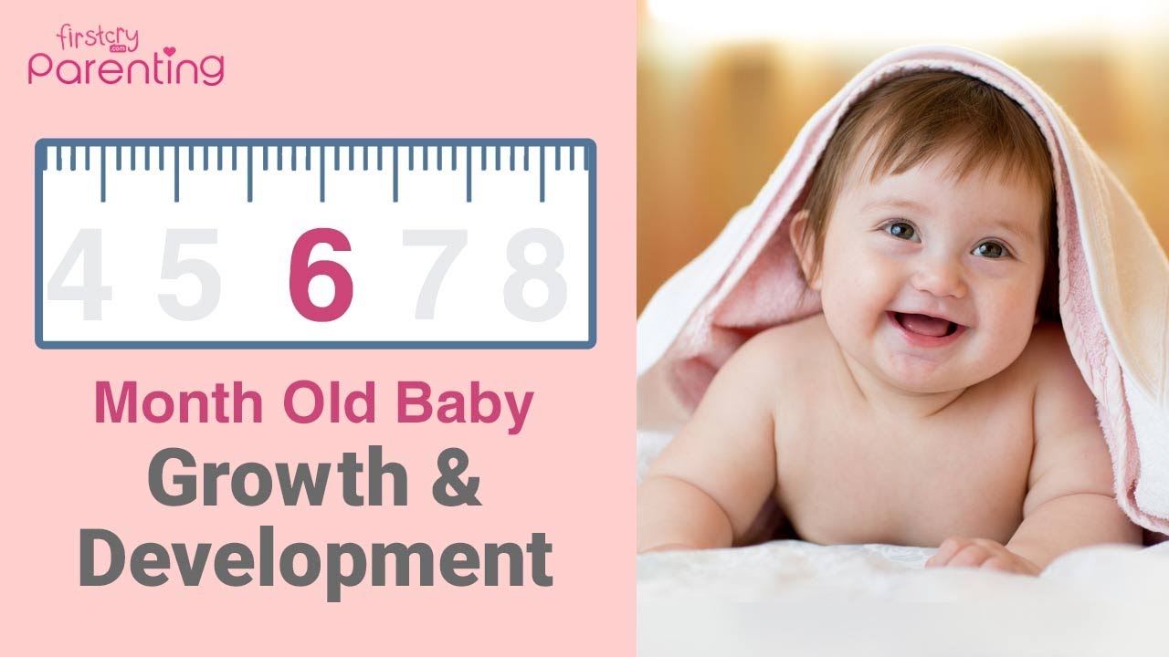 Your 6 Month Old Baby Growth and Development – Milestones, Activities & Baby Care Tips