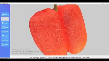 Revopoint POP Scan of a Red Bell Pepper.