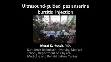 Ultrasound-guided  pes anserine bursitis  injection, by Prof Murat Karkucak MD