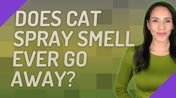 Does cat spray smell ever go away?