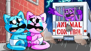 Catnap Is Taken? Cartoon Animation