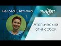 Атопический отит собак. Белова Светлана #убвк_дерматология