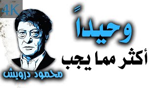 وحيداً أكثر مما يجب | محمود درويش Mahmoud Darwish
