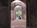 Stone,Cafe Mehrauli Archaeological Park #stone #delhiheritage #visitdelhi #cafestory #cafe #delhincr