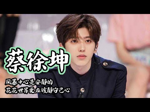 蔡徐坤,偶像練習生重新出道,風暴中心是安靜的,花花世界更應該靜守己心
