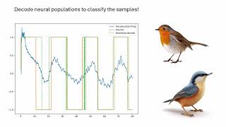 BirdLearner - A Spiking Neural Network for Audio Classification Tasks
