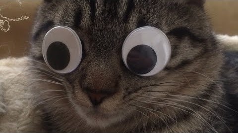 Baby hotline - Open oc map