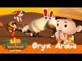  um unicrnio com dois chifres  oryx rabe  leo o guarda florestal  minisode  animao