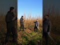 come viene impollinato il #nocciolo  #mattthefarmer
