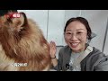 【小新的Vlog】“打卡”长春宠物博览会：萌宠异兽齐聚尽显趣味