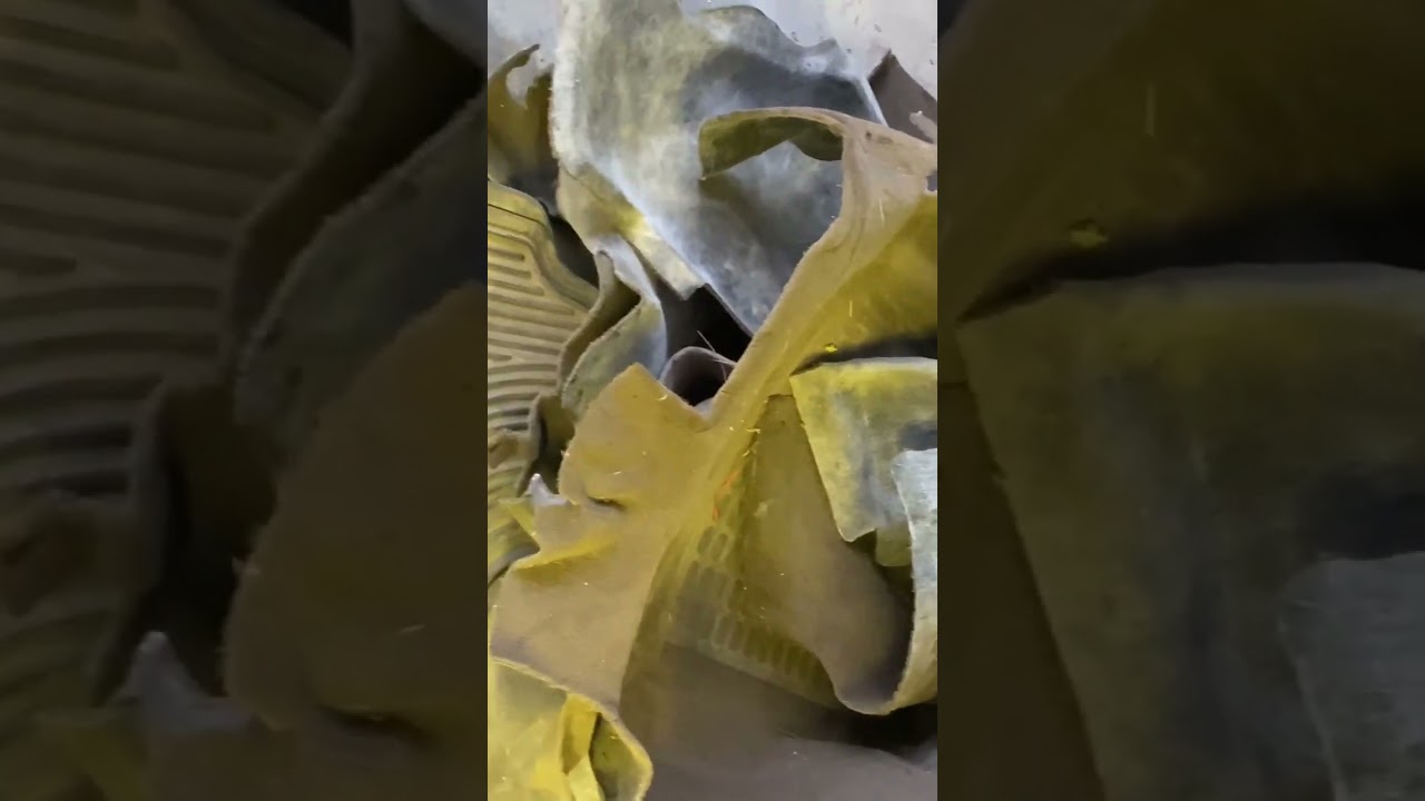 JEEP carpet in or out?