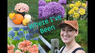 Quick Catch-Up! + Planting Leftover Bulbs in Containers | DreamsofHoya