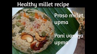 Proso Millet Upma Panivaragu Millet Upma Healthy Millet Recipes