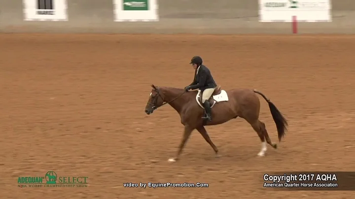 2017 AQHA Select Hunter Hack