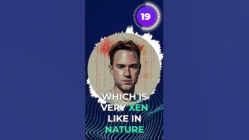 XEN is burning its supply daily