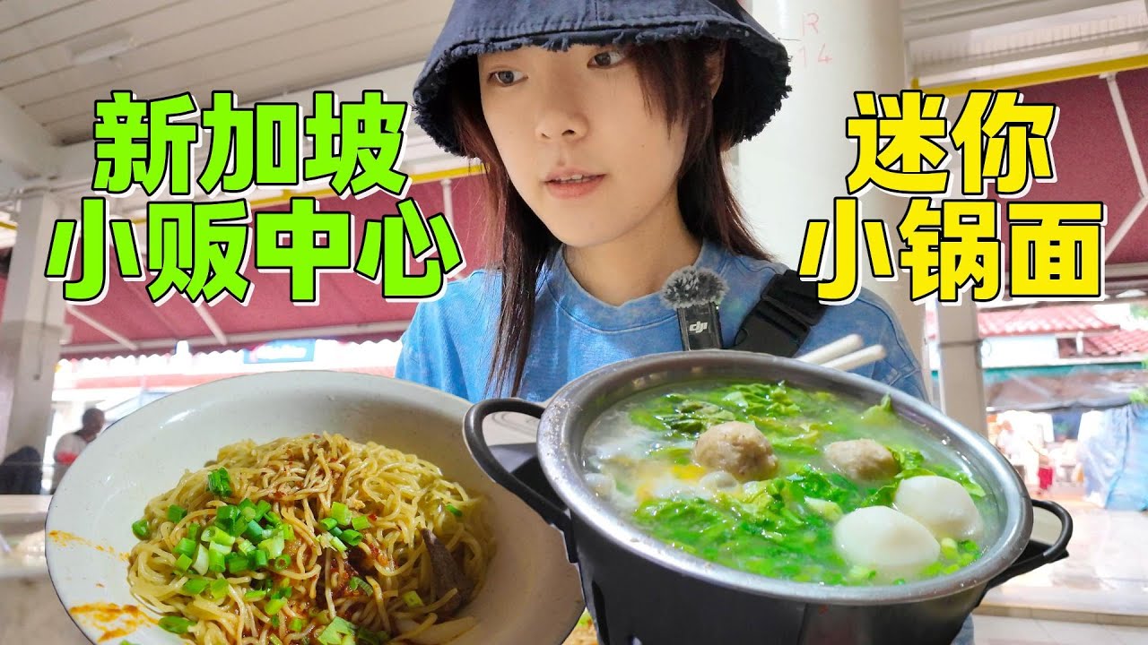 新加坡小贩中心随机吃饭——鱼圆肉脞迷你锅
